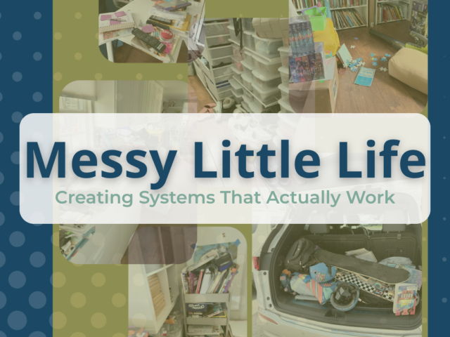 Messy Little Life: Creating Cleaning Systems That Actually Work