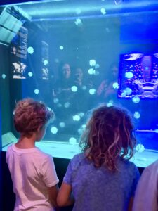 Two children from behind watching jellyfish in a glowing teal aquarium at the Jellyfish Museum Pompano Beach