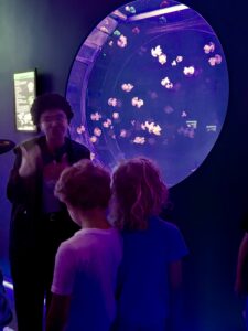 Children looking at a large round jellyfish tank with glowing blue lighting at the Jellyfish Museum
