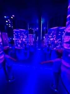 Dark hallway inside the Jellyfish Museum with glowing purple and blue jellyfish tanks lining the walls