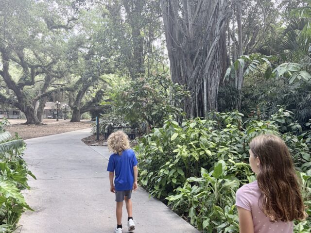 Flamingo Gardens Davie: A South Florida Field Trip the Whole Crew Will Love
