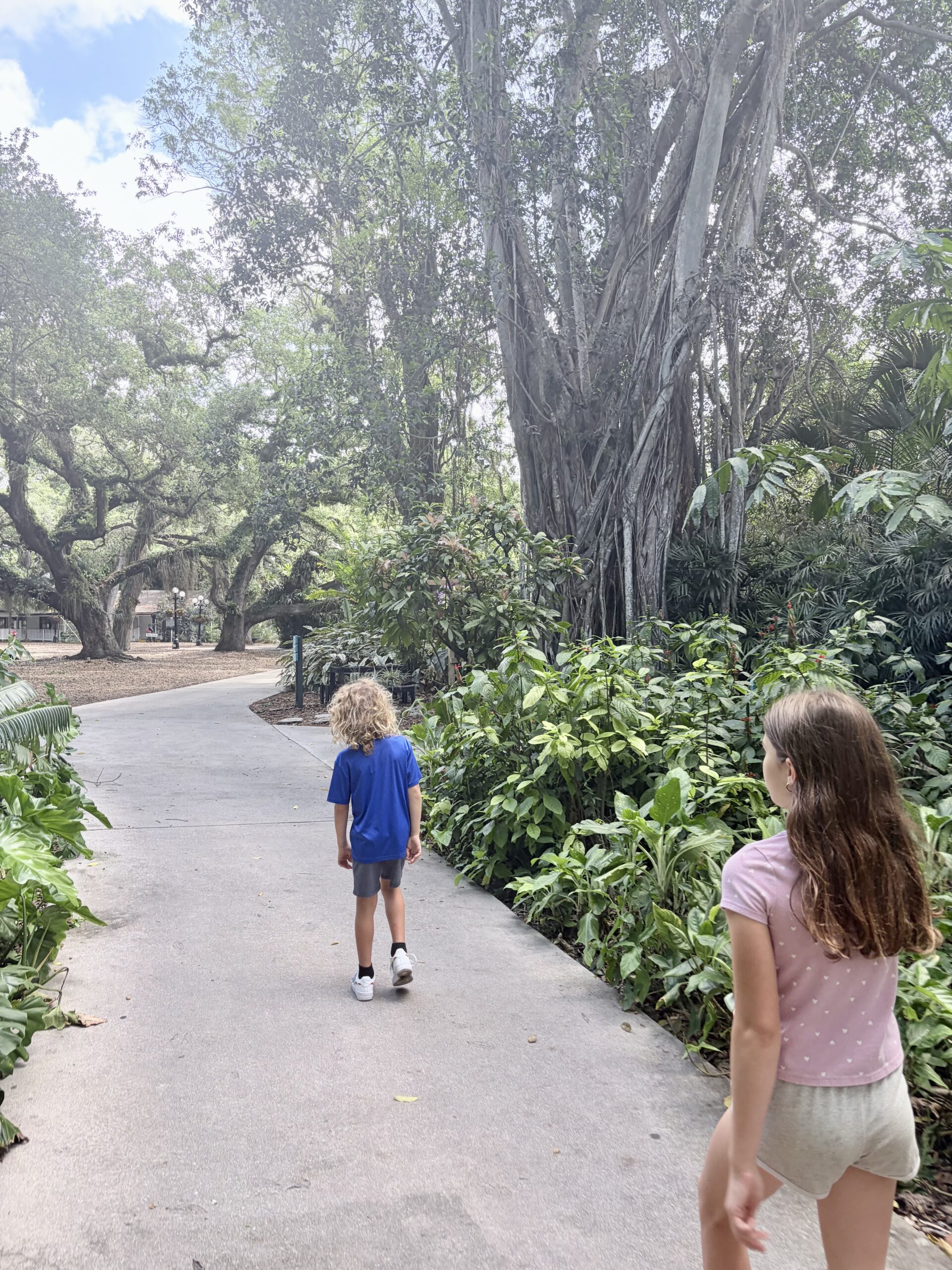 Two children walking a lush garden path toward a giant banyan tree at Flamingo Gardens Davie Florida