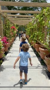 Children walking down a lush pergola-covered garden path at Butterfly World, Coconut Creek Florida