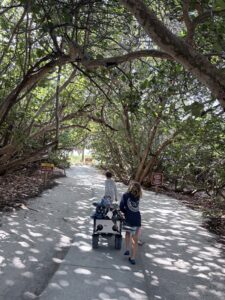 Two kids pulling a wagon through a mangrove tunnel at Mizell-Johnson State Park Dania Beach Florida